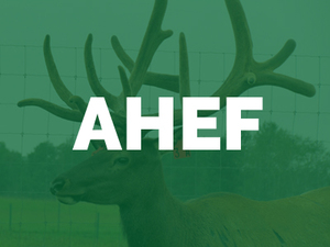 Arrow-Head-Elk-Farm-AHEF