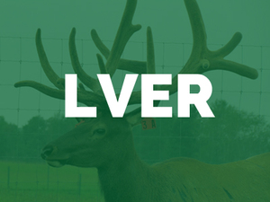 Lake-View-Elk-Ranch-LVER