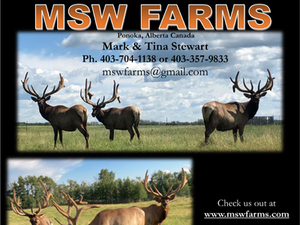 MSW-Farm-MSWFarms