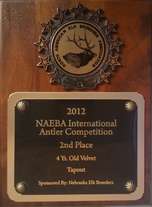 NAEBA International Antler Competition - 2012 Winner