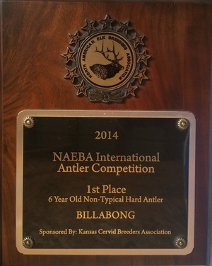 NAEBA International Antler Competition - 2014 Winner
