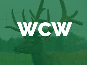 Wolf-Creek-Wapiti-WCW