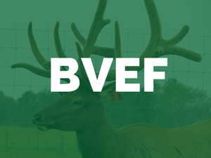 Birch-View-Elk-Farm-BVEF