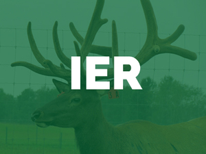 Inarut-Elk-Ranch-IER