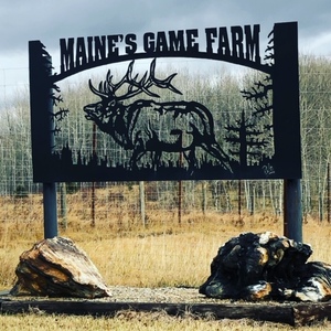 Maines-Game-Farm-maines-game-farm-picture