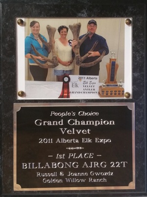 2011 Alberta Elk Expo - Peoples Choice Grand Champion Velvet Winners