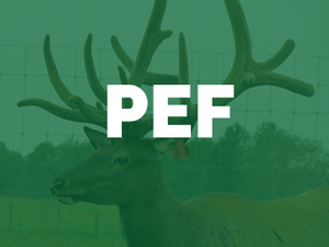 Purple-Elk-Farms-PEF