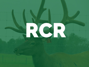 Royal-Crown-Ranch-RCR