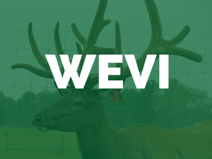Wildridge-Elk-Ventures-2006-Inc-WEVI